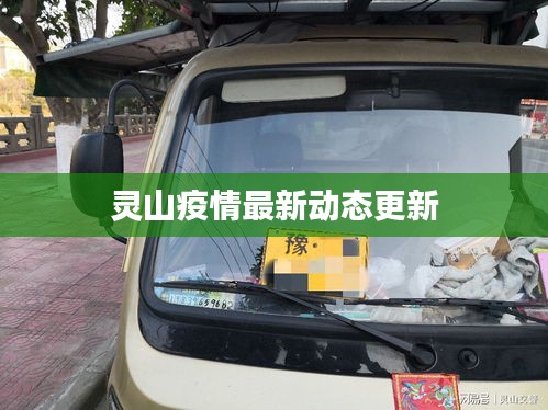 灵山疫情最新动态更新