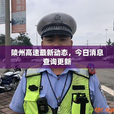陵州高速最新动态，今日消息查询更新