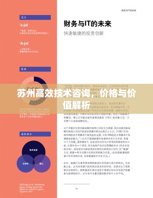 苏州高效技术咨询，价格与价值解析