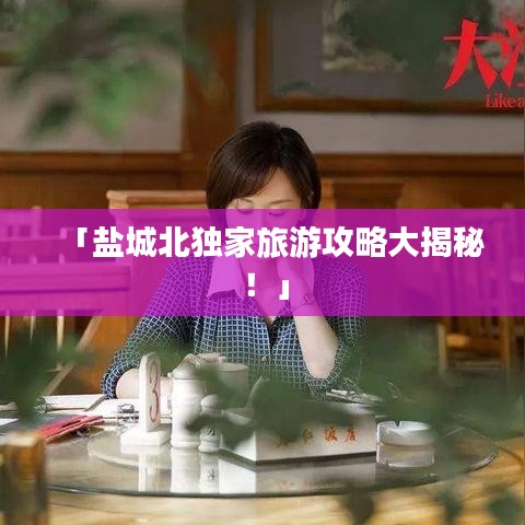 「盐城北独家旅游攻略大揭秘！」
