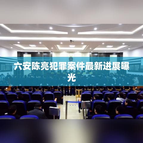 六安陈亮犯罪案件最新进展曝光