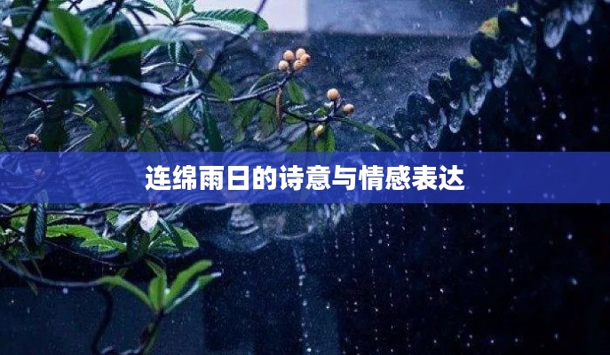 连绵雨日的诗意与情感表达