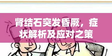 肾结石突发昏厥，症状解析及应对之策