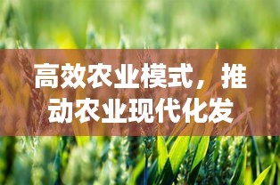 高效农业模式，推动农业现代化发展的核心引擎