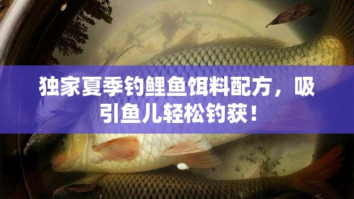 独家夏季钓鲤鱼饵料配方，吸引鱼儿轻松钓获！
