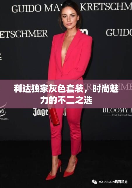 利达独家灰色套装，时尚魅力的不二之选