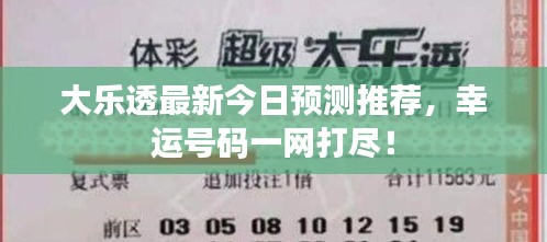 大乐透最新今日预测推荐，幸运号码一网打尽！