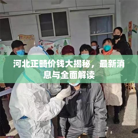 河北正畸价钱大揭秘，最新消息与全面解读