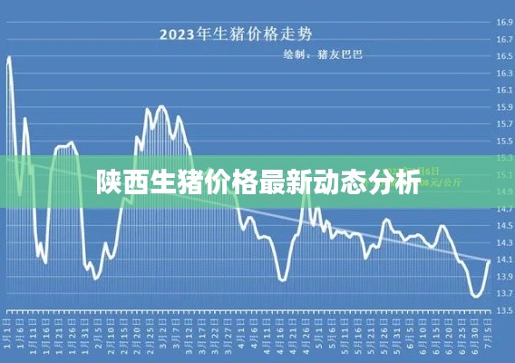 陕西生猪价格最新动态分析