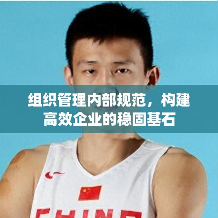 组织管理内部规范，构建高效企业的稳固基石