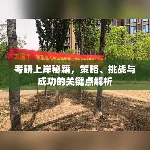 考研上岸秘籍，策略、挑战与成功的关键点解析