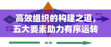 高效组织的构建之道，五大要素助力有序运转与高效执行