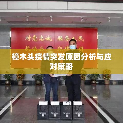 樟木头疫情突发原因分析与应对策略