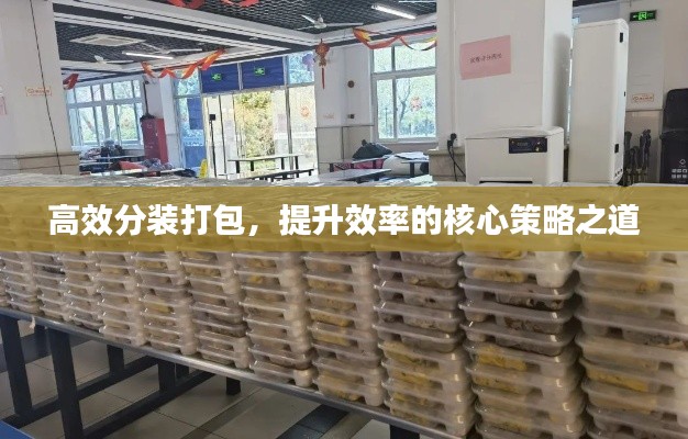 高效分装打包，提升效率的核心策略之道