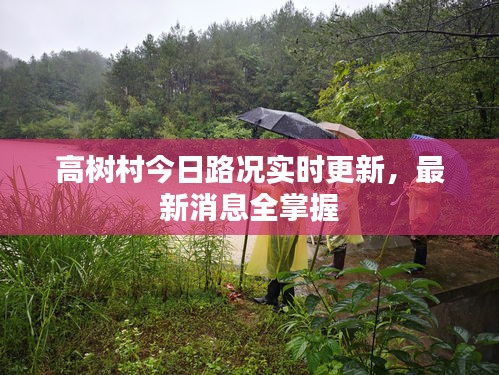 高树村今日路况实时更新，最新消息全掌握