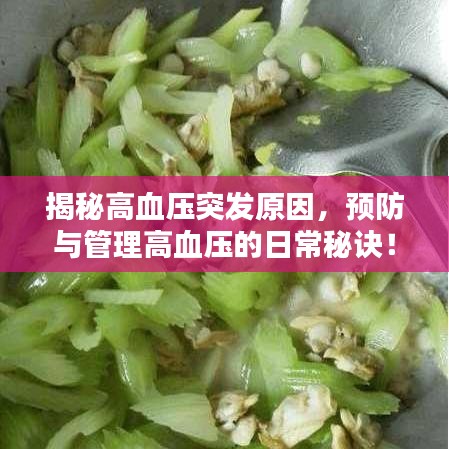 揭秘高血压突发原因，预防与管理高血压的日常秘诀！