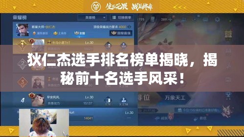 狄仁杰选手排名榜单揭晓，揭秘前十名选手风采！