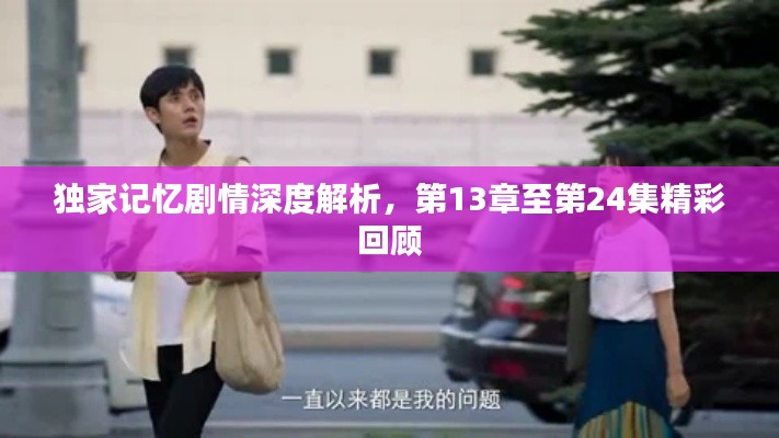 独家记忆剧情深度解析，第13章至第24集精彩回顾