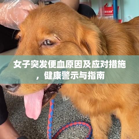 女子突发便血原因及应对措施，健康警示与指南