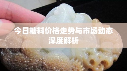 今日糖料价格走势与市场动态深度解析