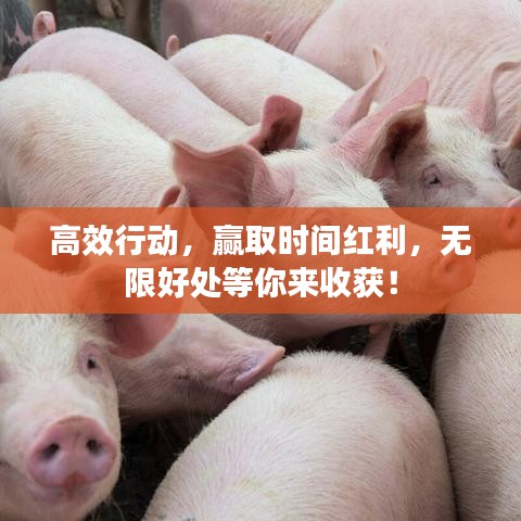 高效行动，赢取时间红利，无限好处等你来收获！