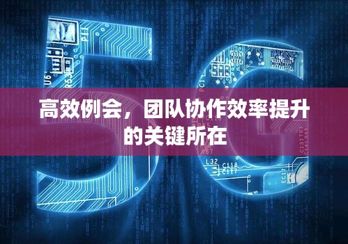 高效例会，团队协作效率提升的关键所在