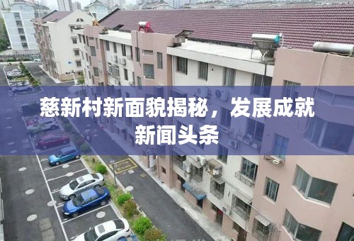 慈新村新面貌揭秘，发展成就新闻头条
