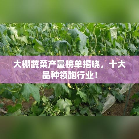 大棚蔬菜产量榜单揭晓，十大品种领跑行业！