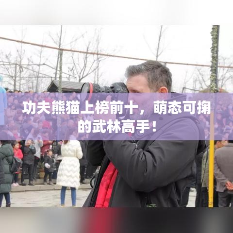 功夫熊猫上榜前十，萌态可掬的武林高手！