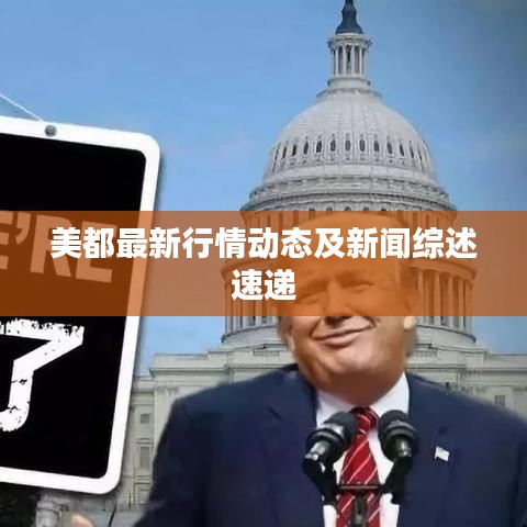 美都最新行情动态及新闻综述速递