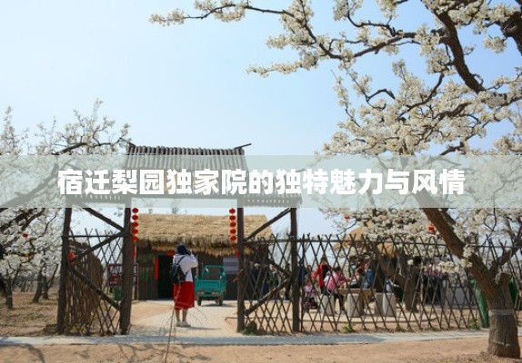 宿迁梨园独家院的独特魅力与风情