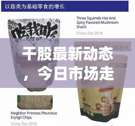 干股最新动态，今日市场走势与投资趋势深度解析