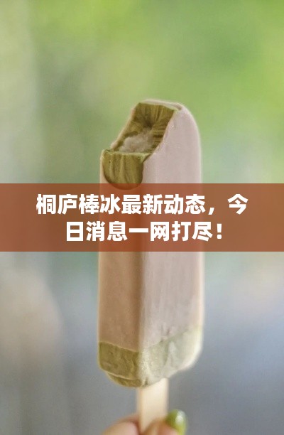 桐庐棒冰最新动态，今日消息一网打尽！