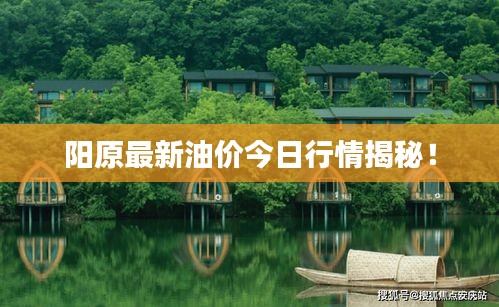 阳原最新油价今日行情揭秘！