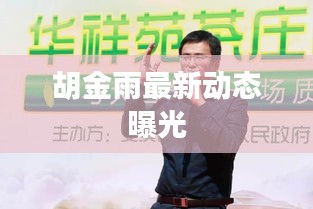 胡金雨最新动态曝光