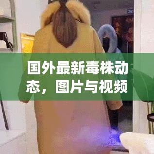 国外最新毒株动态，图片与视频报告揭秘最新进展