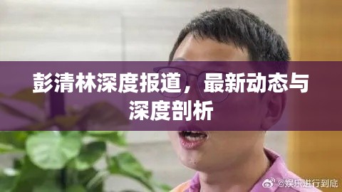 彭清林深度报道，最新动态与深度剖析