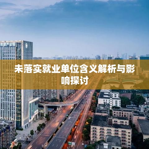 未落实就业单位含义解析与影响探讨