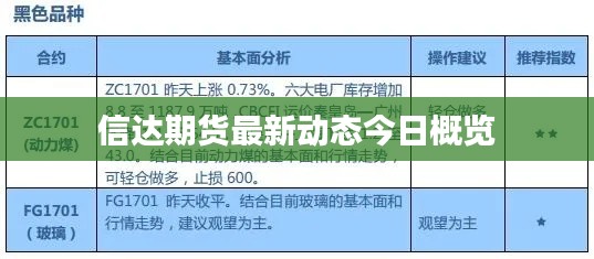 信达期货最新动态今日概览