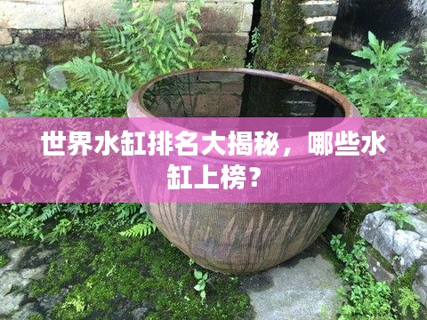 世界水缸排名大揭秘，哪些水缸上榜？