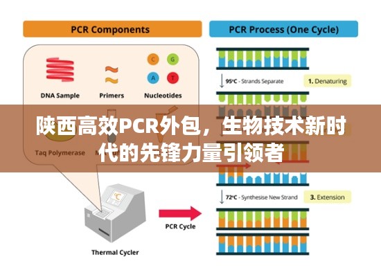 陕西高效PCR外包，生物技术新时代的先锋力量引领者