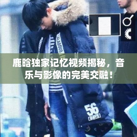 鹿晗独家记忆视频揭秘，音乐与影像的完美交融！