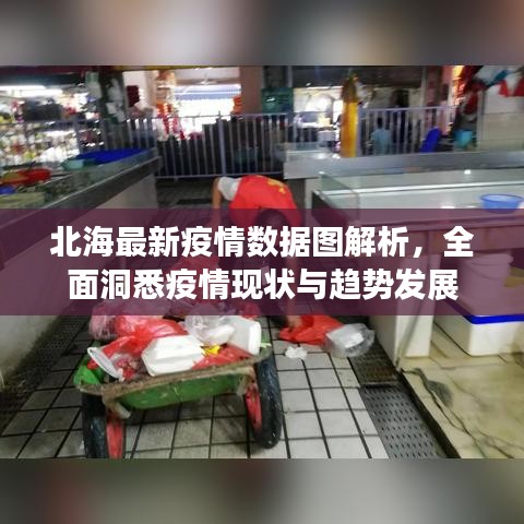 北海最新疫情数据图解析，全面洞悉疫情现状与趋势发展