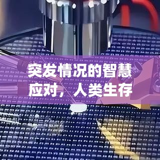 突发情况的智慧应对，人类生存之力展现