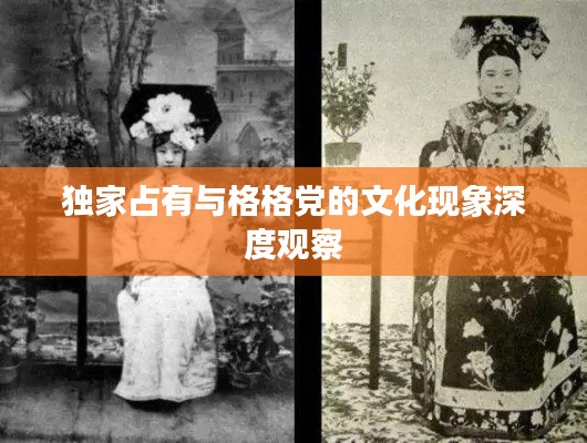 独家占有与格格党的文化现象深度观察