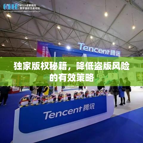 独家版权秘籍，降低盗版风险的有效策略