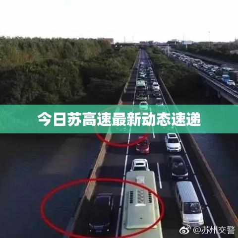 今日苏高速最新动态速递