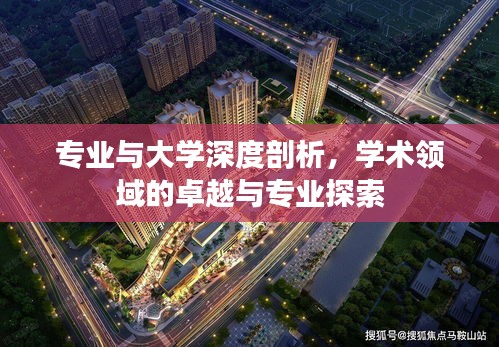 专业与大学深度剖析，学术领域的卓越与专业探索