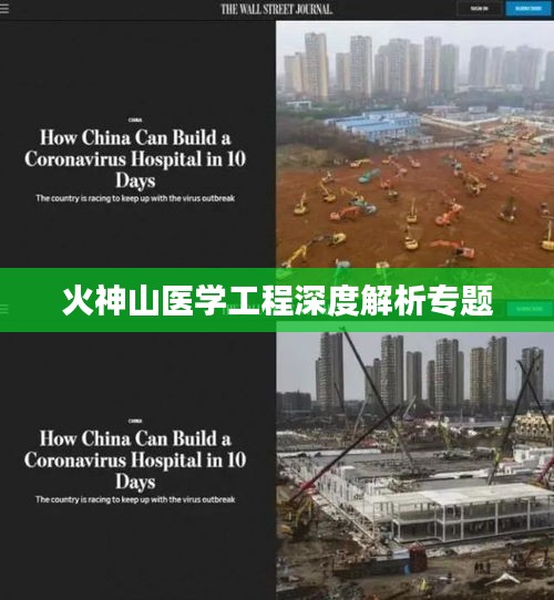 火神山医学工程深度解析专题