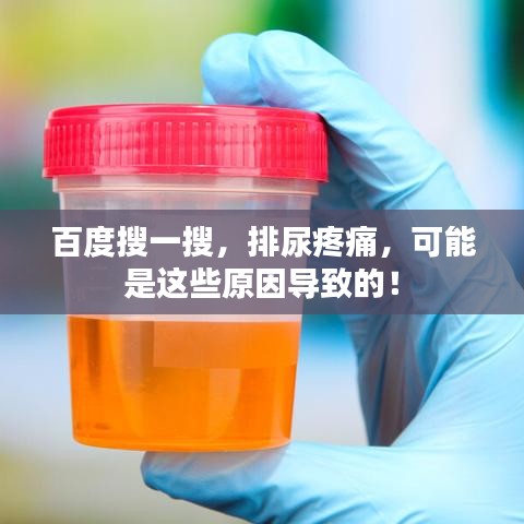 百度搜一搜，排尿疼痛，可能是这些原因导致的！
